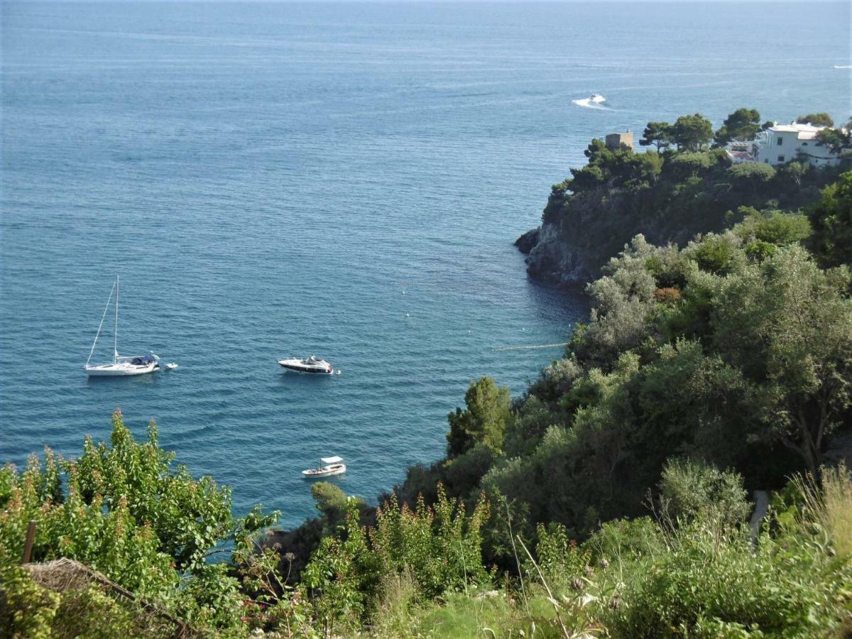 Sea Breeze House Daire Amalfi Dış mekan fotoğraf